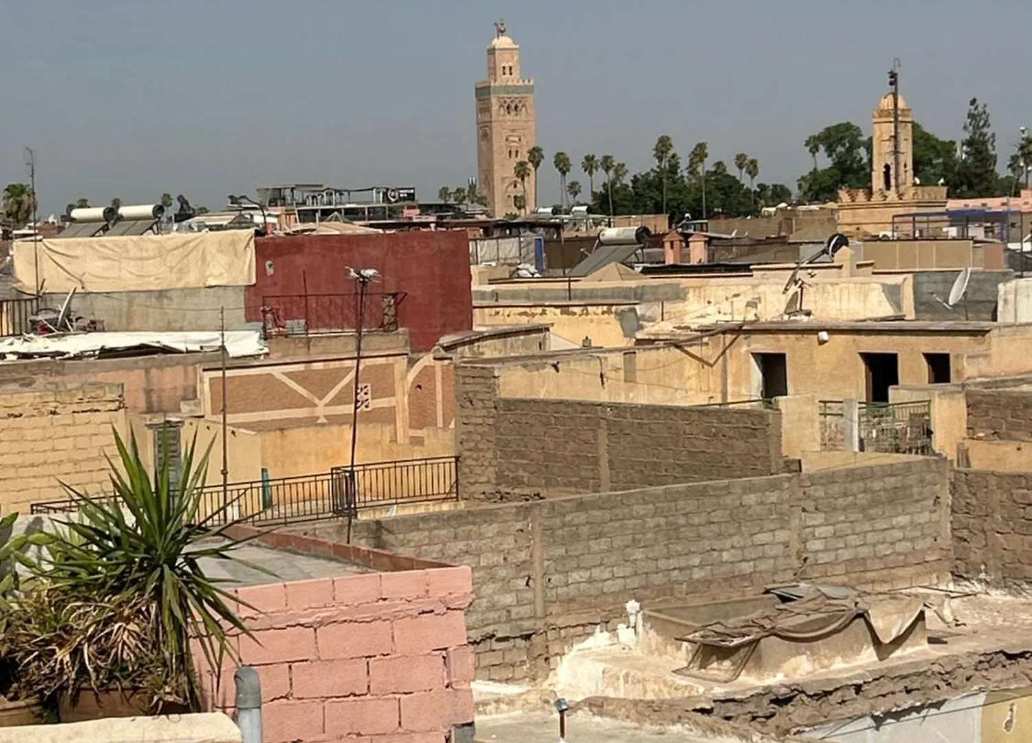 Riad Amazing Amazigh Avec Jacuzzi Petit Dejeuner Compris Avec Aussi Chambres Familiales Pres De La Place Jemaa El Fna Marrakesh Morocco
